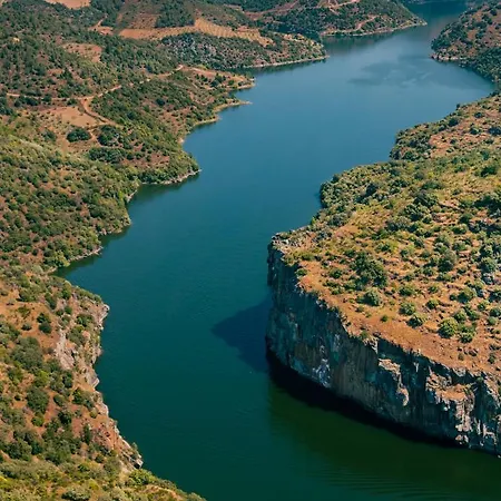 Planalto D Outono Tó