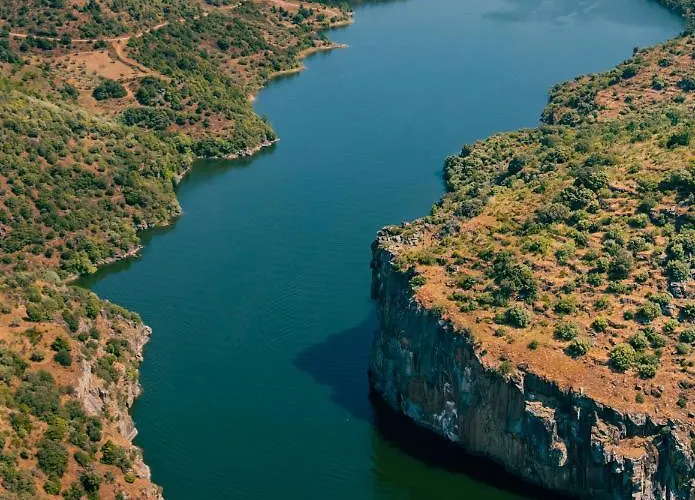 Planalto D Outono Tó